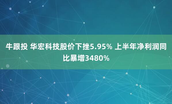 牛跟投 华宏科技股价下挫5.95% 上半年净利润同比暴增3480%